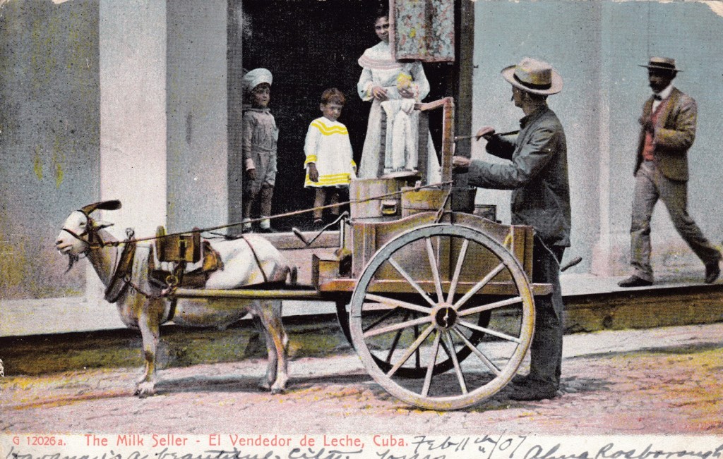“The Milk Seller,” photomechanical postcard. Photograph taken in Cuba, postcard printed in New York, N.Y. Postmarked Feb 11, 1907.